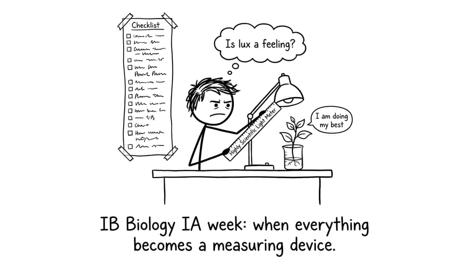 IB student improvising a light meter