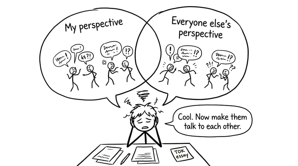 TOK perspectives arguing