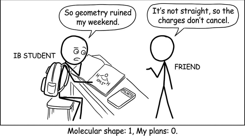 IB student vs molecular geometry joke
