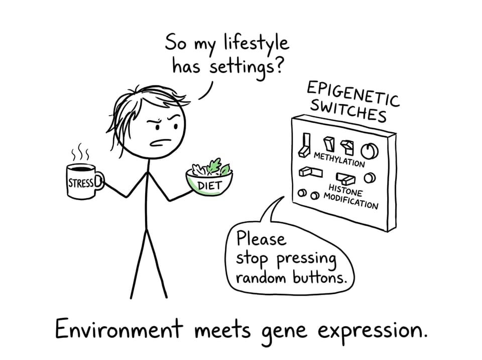 Student toggling “epigenetic switches” randomly
