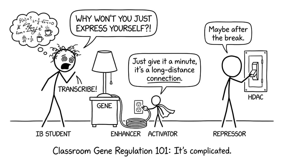 An activator and repressor argue with a lamp labeled Gene