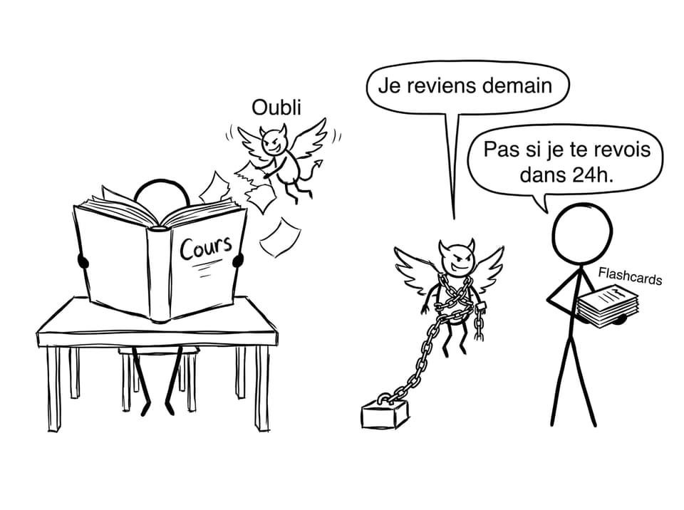L’oubli vs flashcards