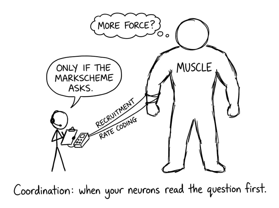 Nervous system controlling muscle puppet comic