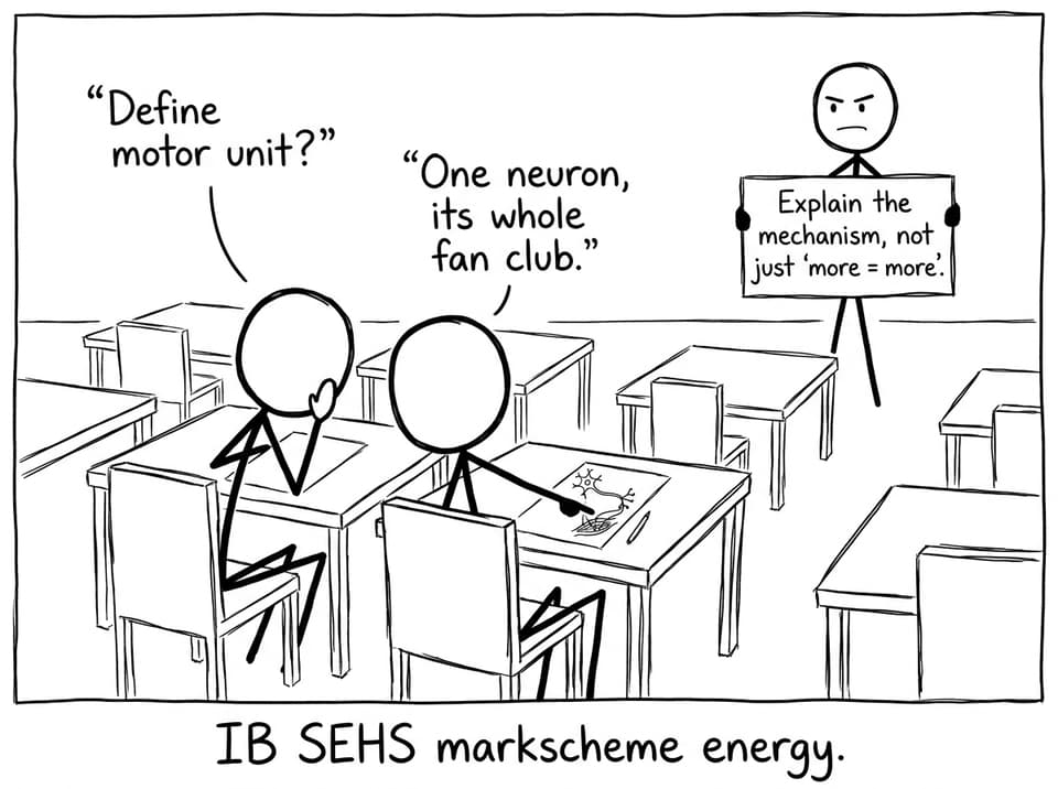 IB SEHS markscheme energy