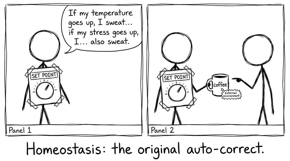 Homeostasis: the original auto-correct comic