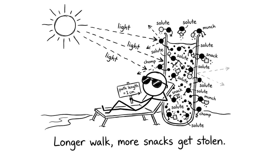 Cuvette at the beach: path length joke