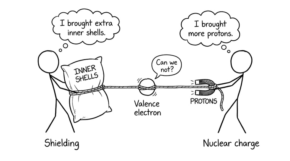 Shielding vs nuclear charge tug-of-war