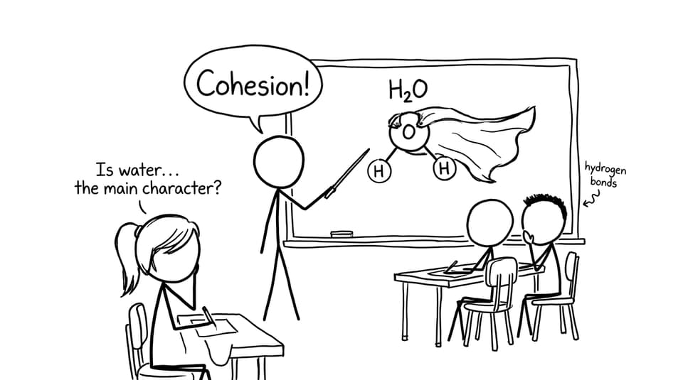 Teacher makes water the main character