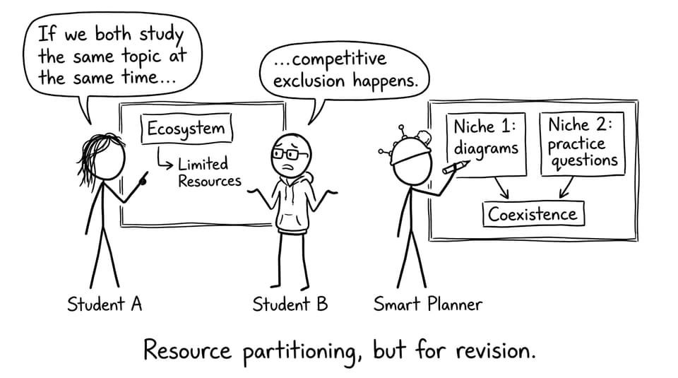 Comic about resource partitioning for revision