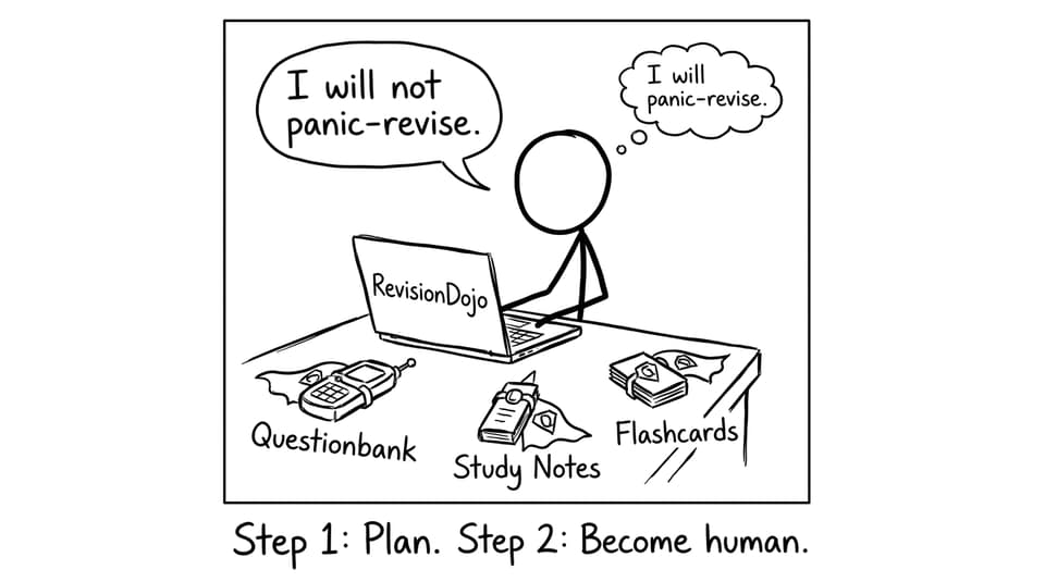 RevisionDojo panic-revise comic