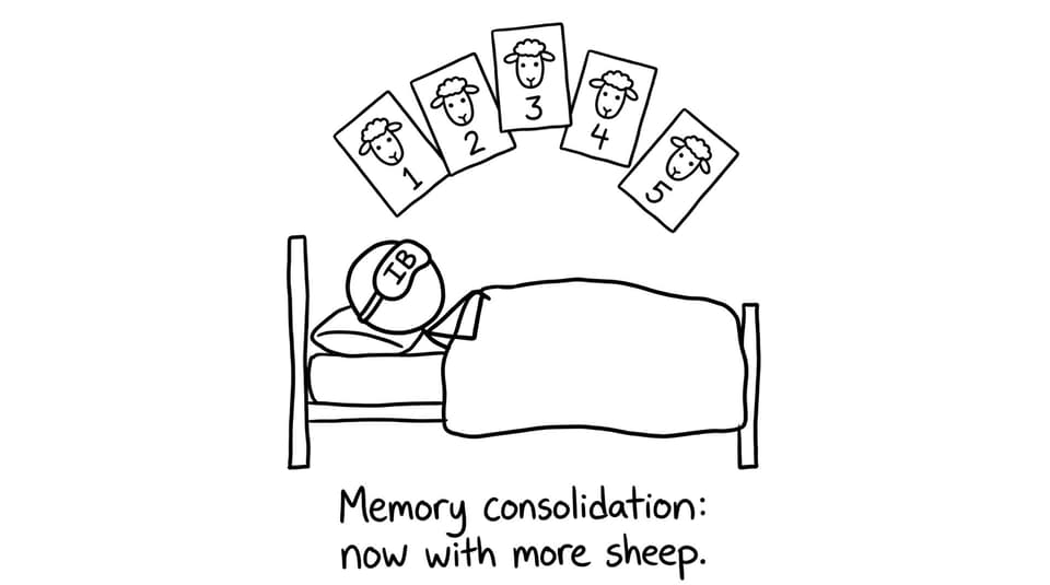 Flashcards floating like sheep over a sleepy student