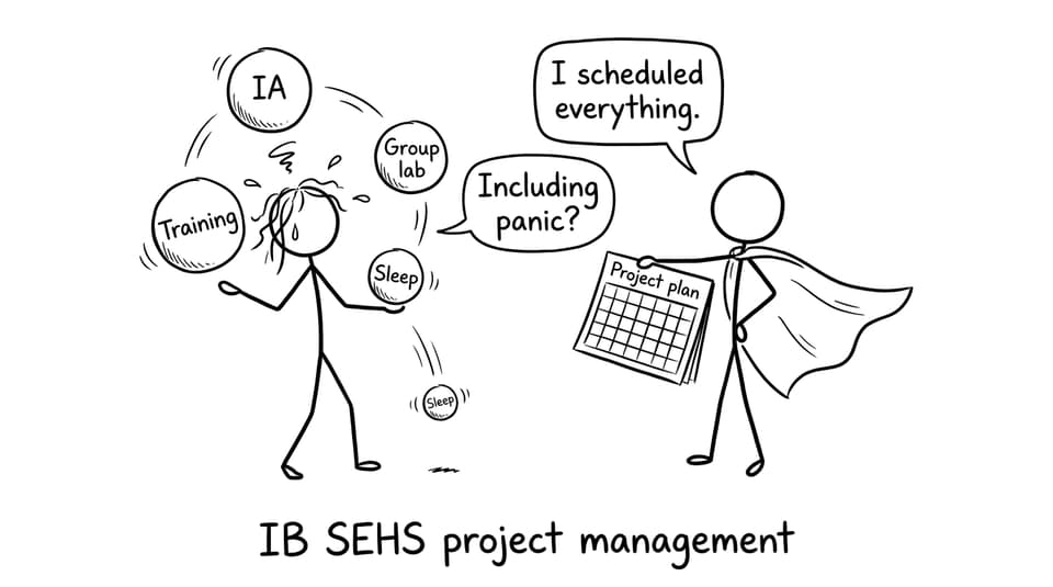 IB SEHS project management