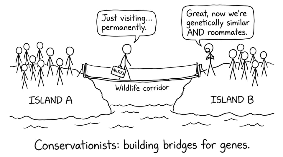 Conservationists building bridges for genes