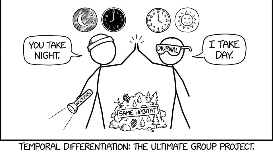Comic about nocturnal vs diurnal group project