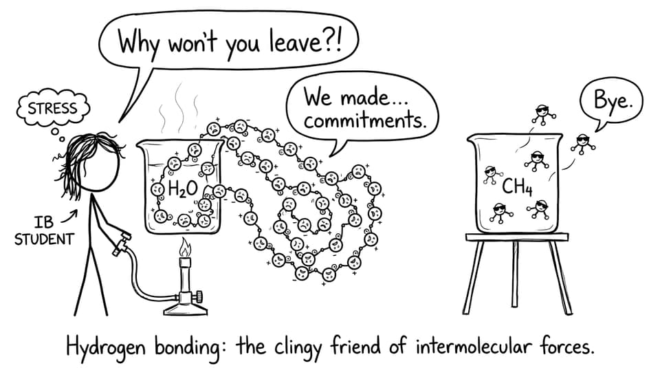 Hydrogen bonding: the clingy friend of intermolecular forces.