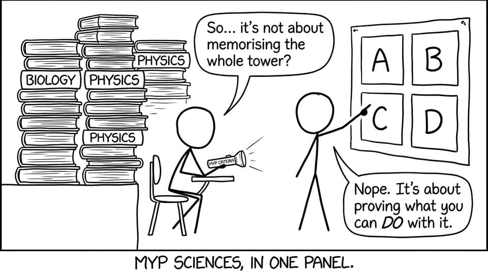 A student uses MYP criteria to survive the science tower