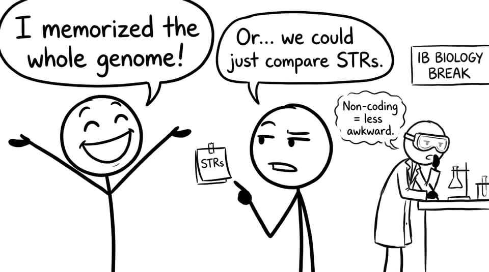 Students arguing about memorizing the genome vs STRs