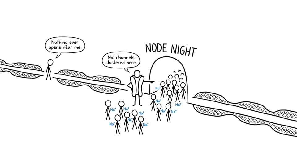 A humorous comic about ion channels gathering at a node