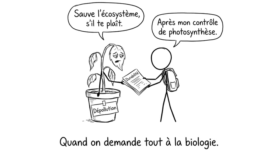Plante dépollution et devoir de durabilité