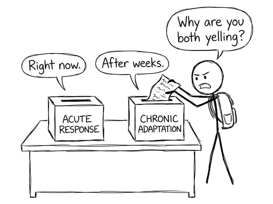 Acute vs chronic boxes arguing