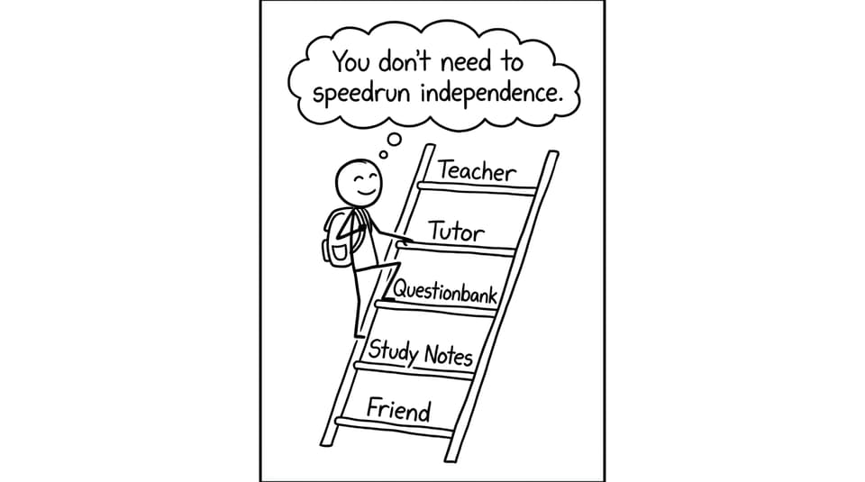 Help ladder with rungs of support