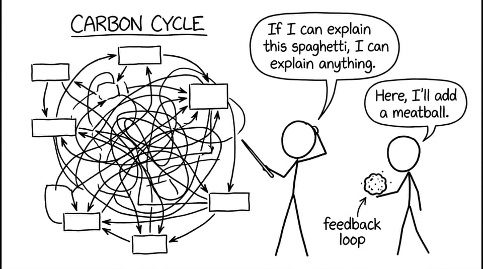 Carbon cycle spaghetti with a feedback meatball