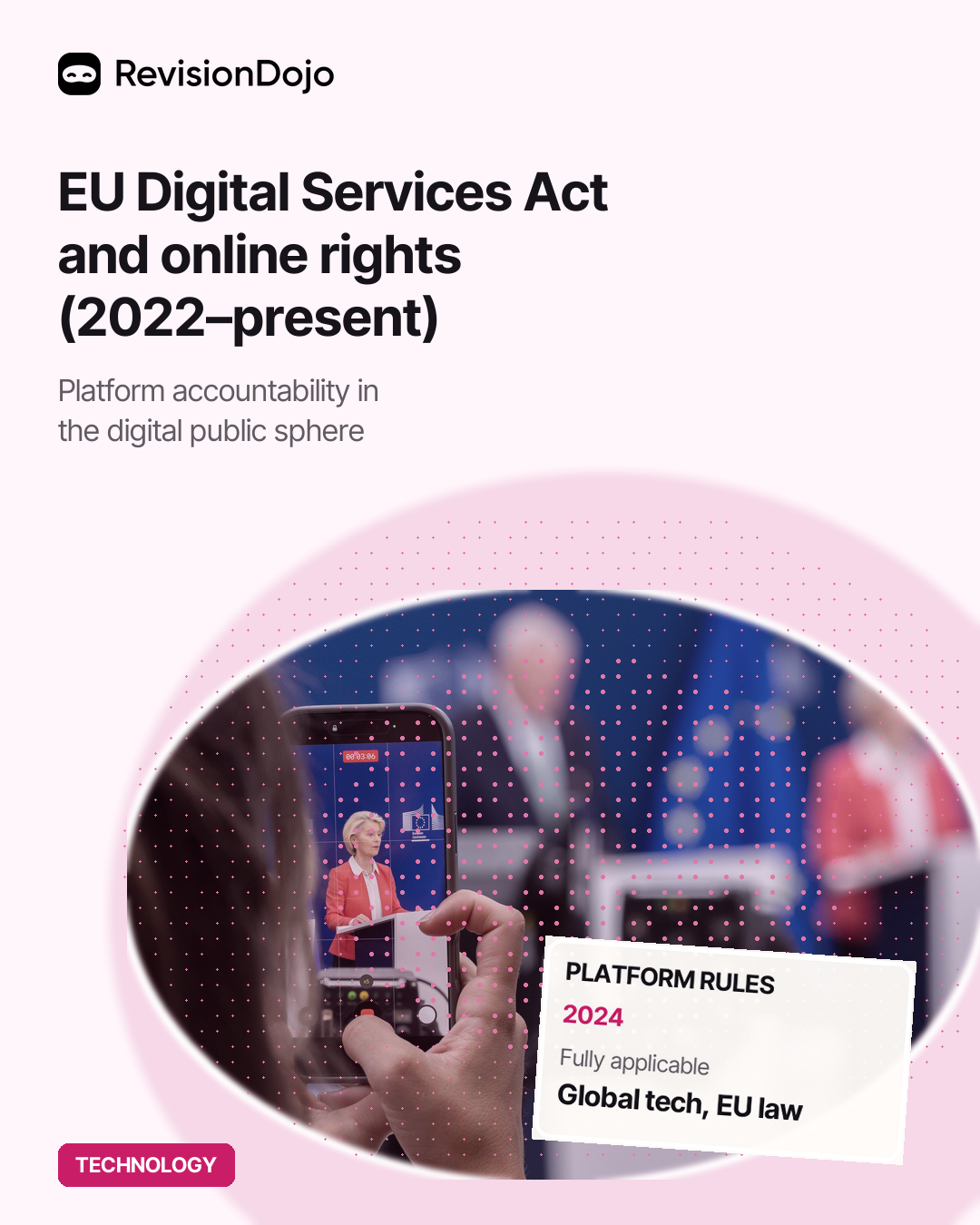 The EU Digital Services Act and Online Rights (2022–present)