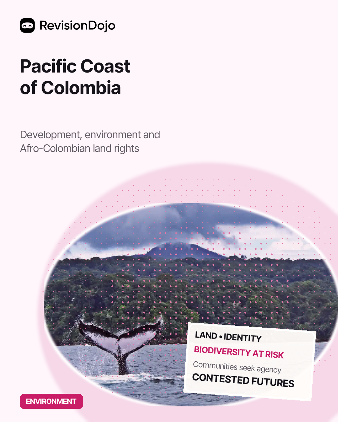 Pacific Coast of Colombia