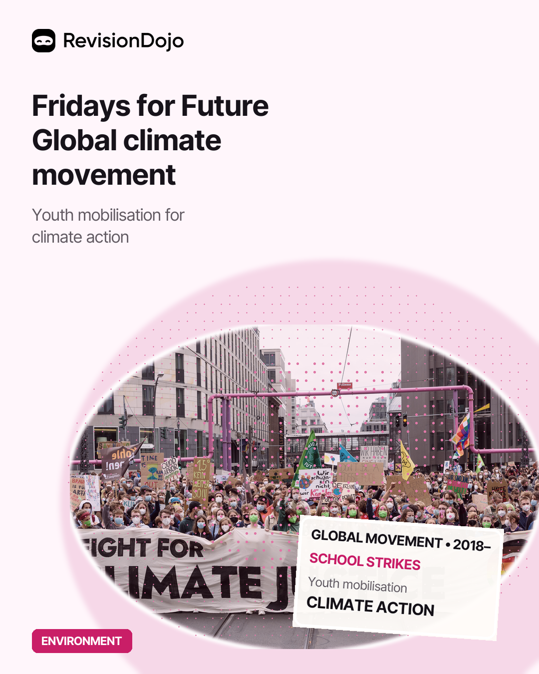 Fridays for Future: The Global Climate Movement (2018-present)