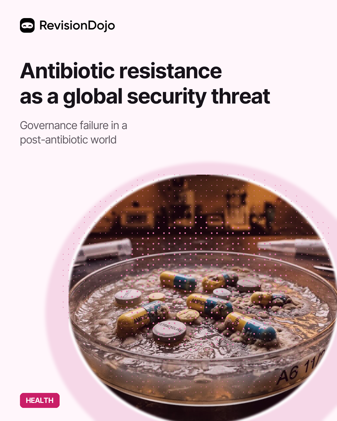 Antibiotic Resistance as a Global Security Threat