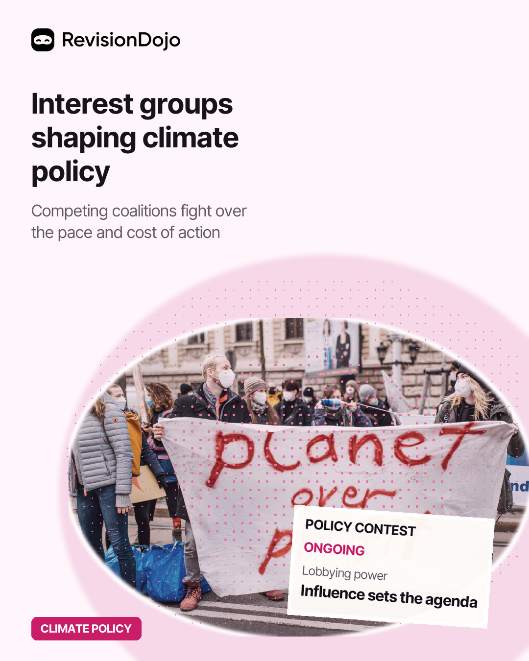 The Role of Interest Groups in Climate Policy