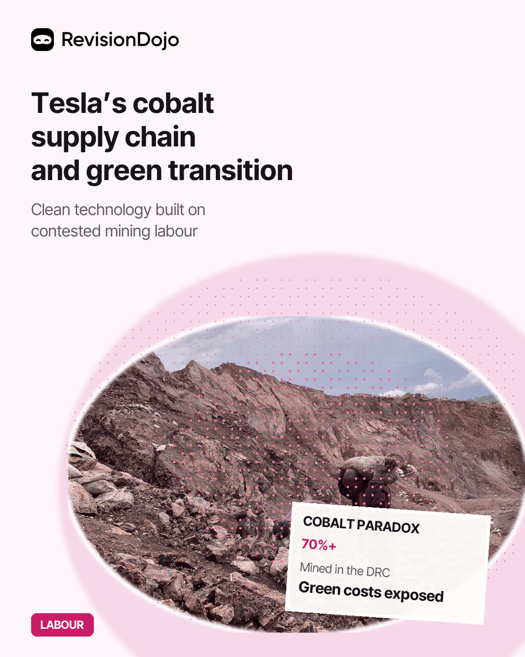 Tesla's Cobalt Supply Chain: Mining, Child Labour, and the Green Transition