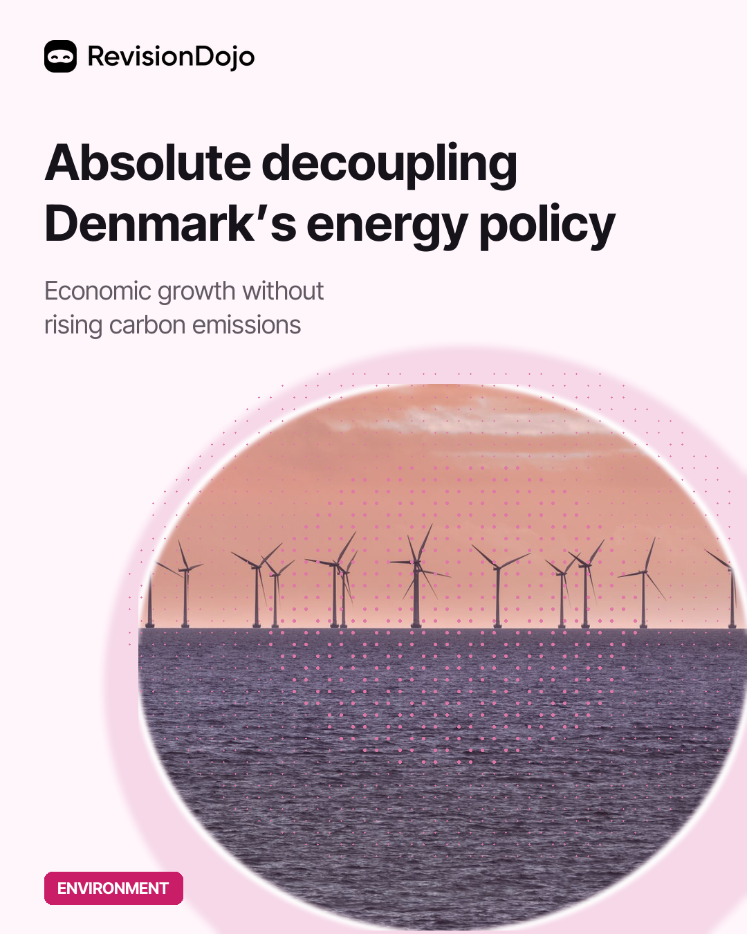 Absolute Decoupling: Denmark’s Energy Policy