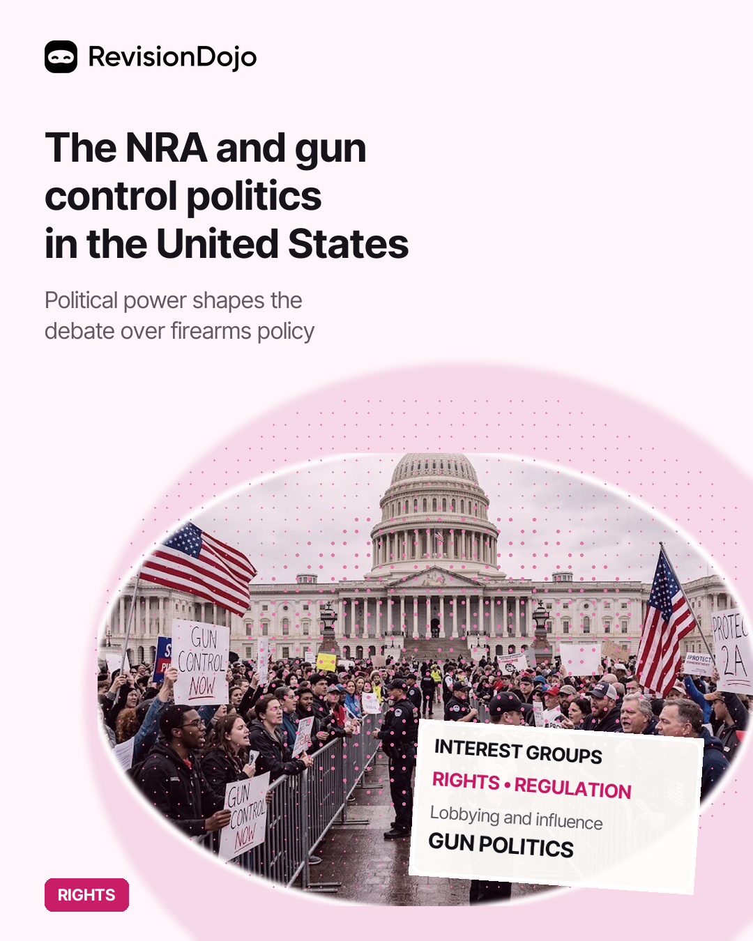 The NRA and Gun Control Politics in the United States