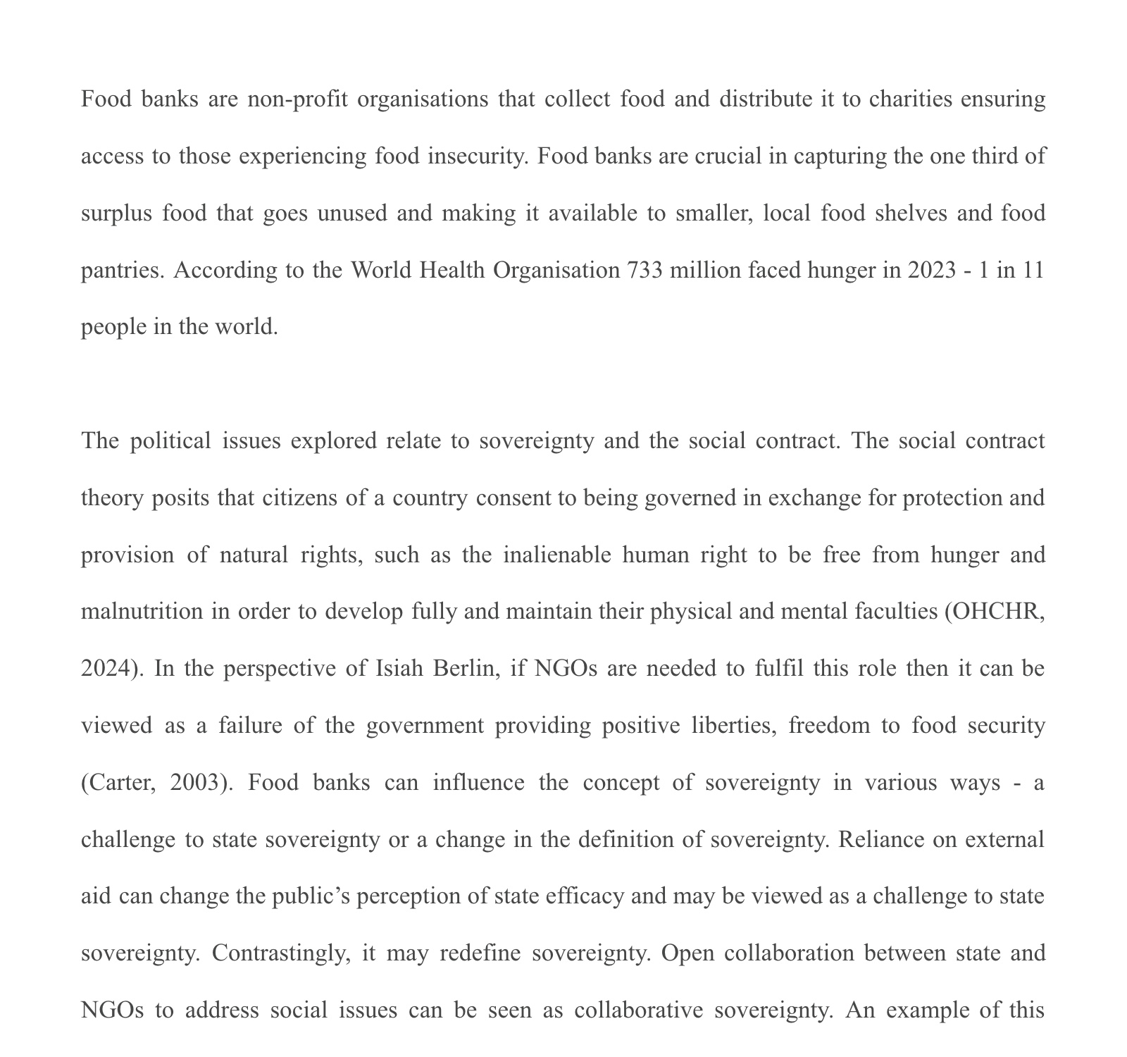 Verified Grade 7-filtered Global Politics HL exemplar on Czech food banks, applying sovereignty and social-contract theory.